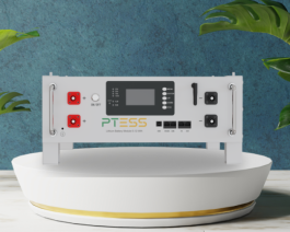 Pin Lithium PTESS Rackmount 51,2V/100Ah Áp thấp