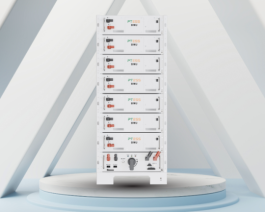 Pin Lithium PTESS Rackself PT-HV-EB-R1 Áp Cao