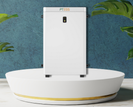 Pin Lithium PTESS Wallmount 51,2V/200Ah Áp thấp